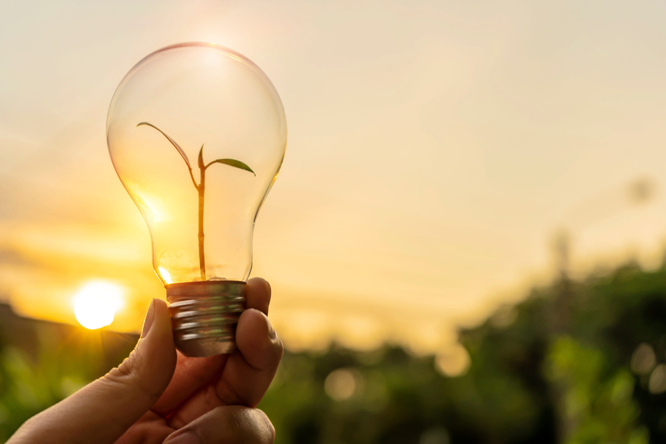 Energia elétrica x energia solar: descubra o que mais vale a pena!